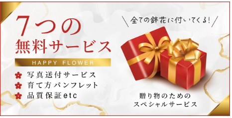 FireShot Capture 282 - 胡蝶蘭（3本立・5本立）お祝いギフト通販 花の贈り物｜クマサキ洋ラン農園 - [www.rannohana.com]